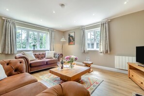 تلفزيون، مدفأة