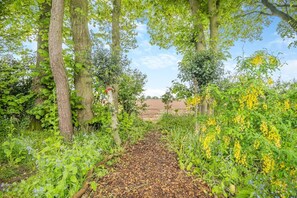 Un sentier qui traverse une forêt, bordée d’arbres et parsemée de fleurs sauvages, et qui mène à un champ.