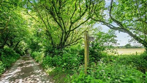 A narrow, shaded pathway surrounded by dense greenery and trees, leading towards a body of water. - 2 Bed in Advent (oc-p6188) (Advent)