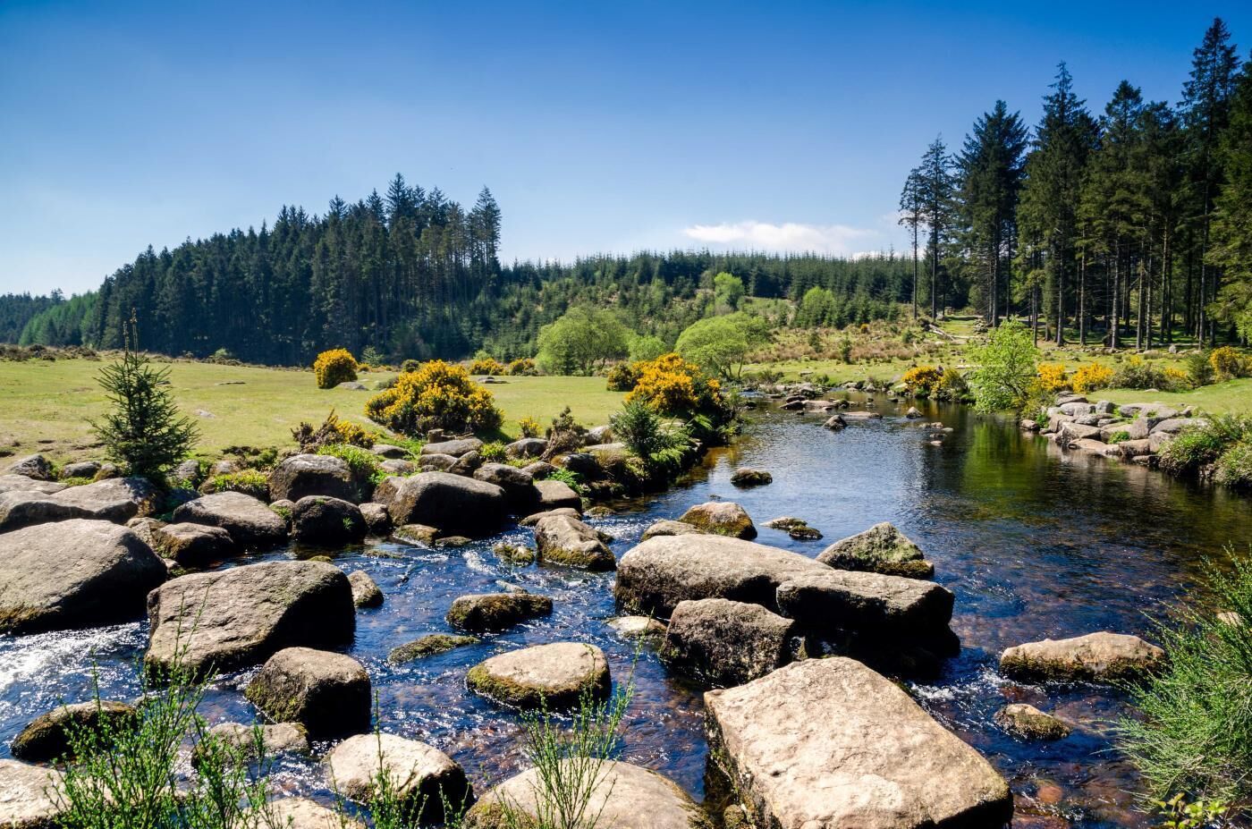 A natural landscape with a clear stream, rocks, and trees.