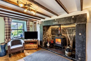 TV, fireplace - 3 Bed in Fucheswen (oc-m29608) (Blaenau Ffestiniog)