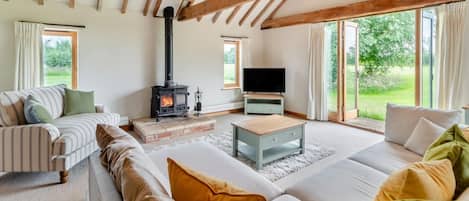 Fernseher, Kamin