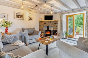 TV, fireplace - 2 Bed in Crugybar (oc-t29740) (Cynwyl Gaeo)