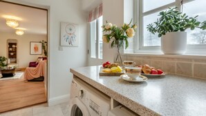 Uma cozinha moderna com bancada de granito, máquina de lavar embutida e janela com planta em vaso.