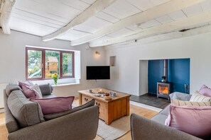 TV, fireplace - 5 Bed in Bodmin (oc-l29658) (Blisland)