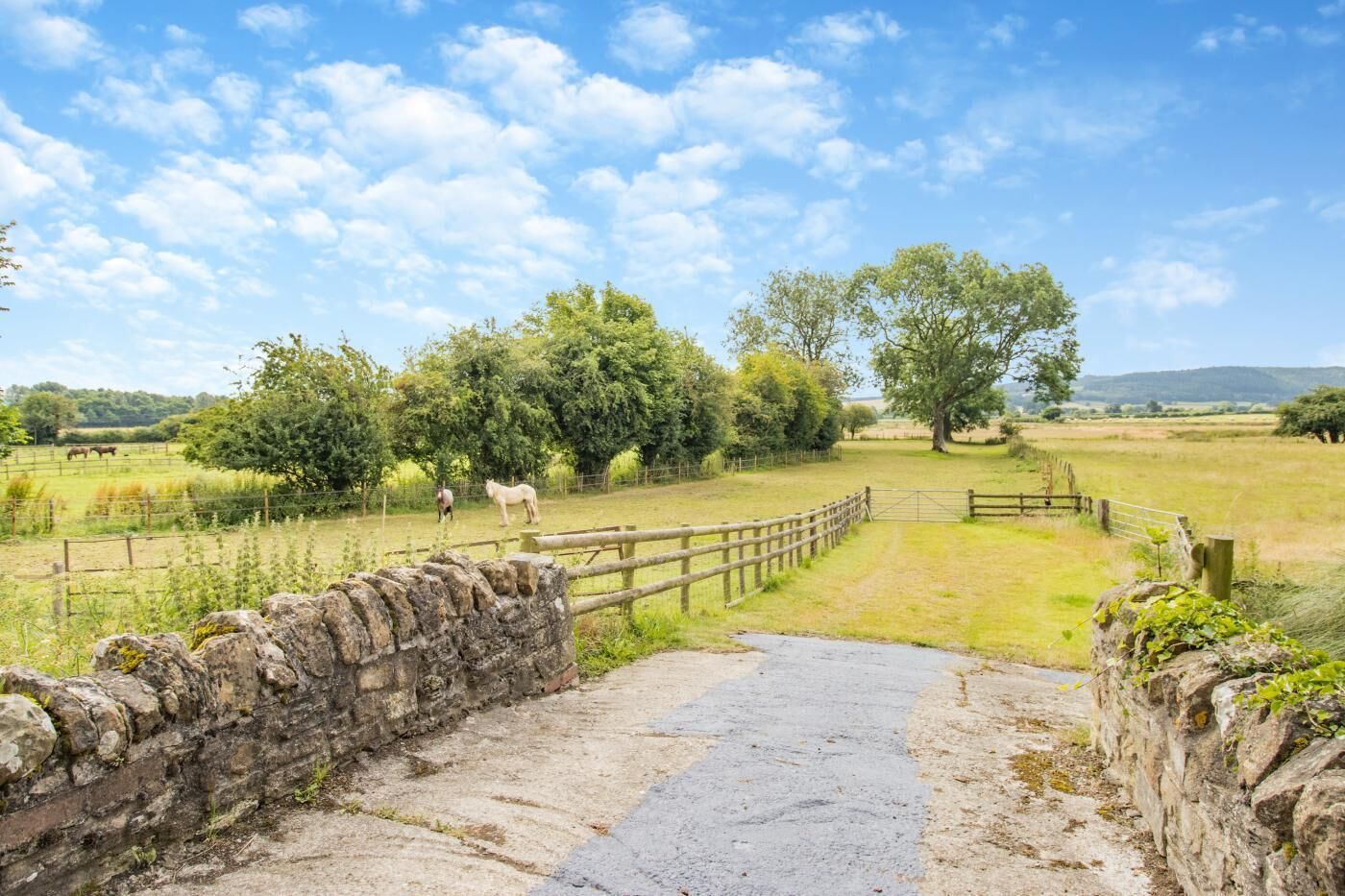 Paisaje rural con un muro de piedra, una valla de madera y un camino pavimentado que conduce a un campo con caballos.