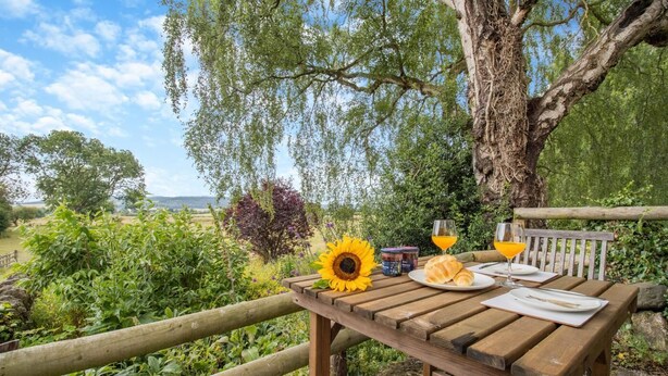 Een houten tafel buiten gedekt, met een zonnebloem, croissants en glazen sinaasappelsap.