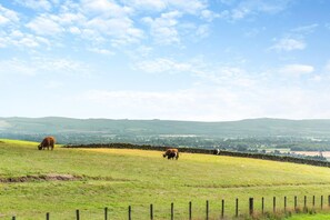 Un paysage rural caractérisé par des collines douces et une clôture en pierres.