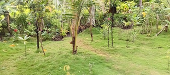 Tanna Chez Nous Bungalow & Tours
