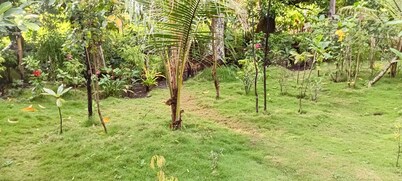 Tanna Chez Nous Bungalow & Tours