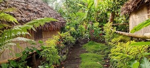Property grounds - Tanna Chez Nous Bungalow & Tours (Tafea Province)