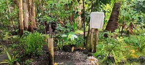 Property grounds - Tanna Chez Nous Bungalow & Tours (Tafea Province)