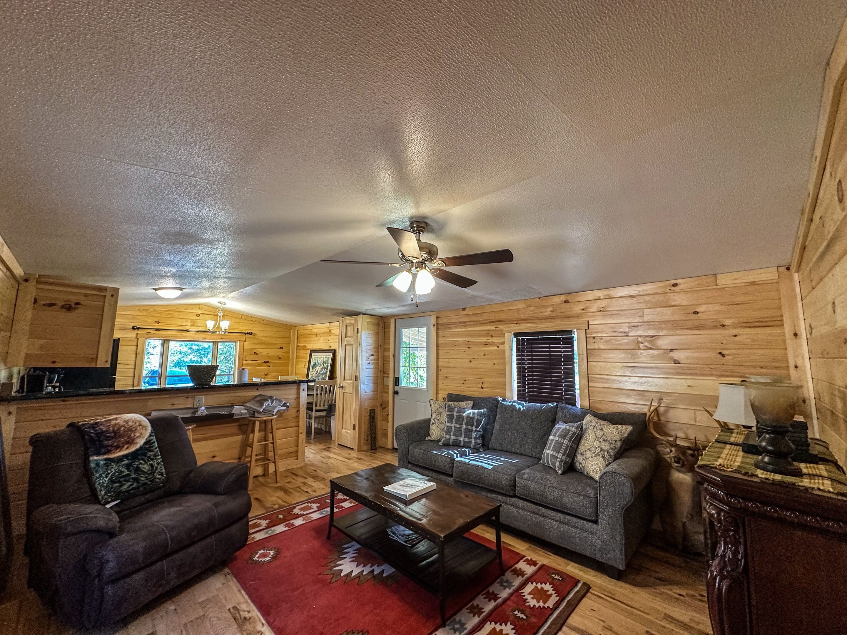 Fireplace, DVD player, books, video library