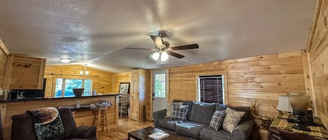 Fireplace, DVD player, books, video library