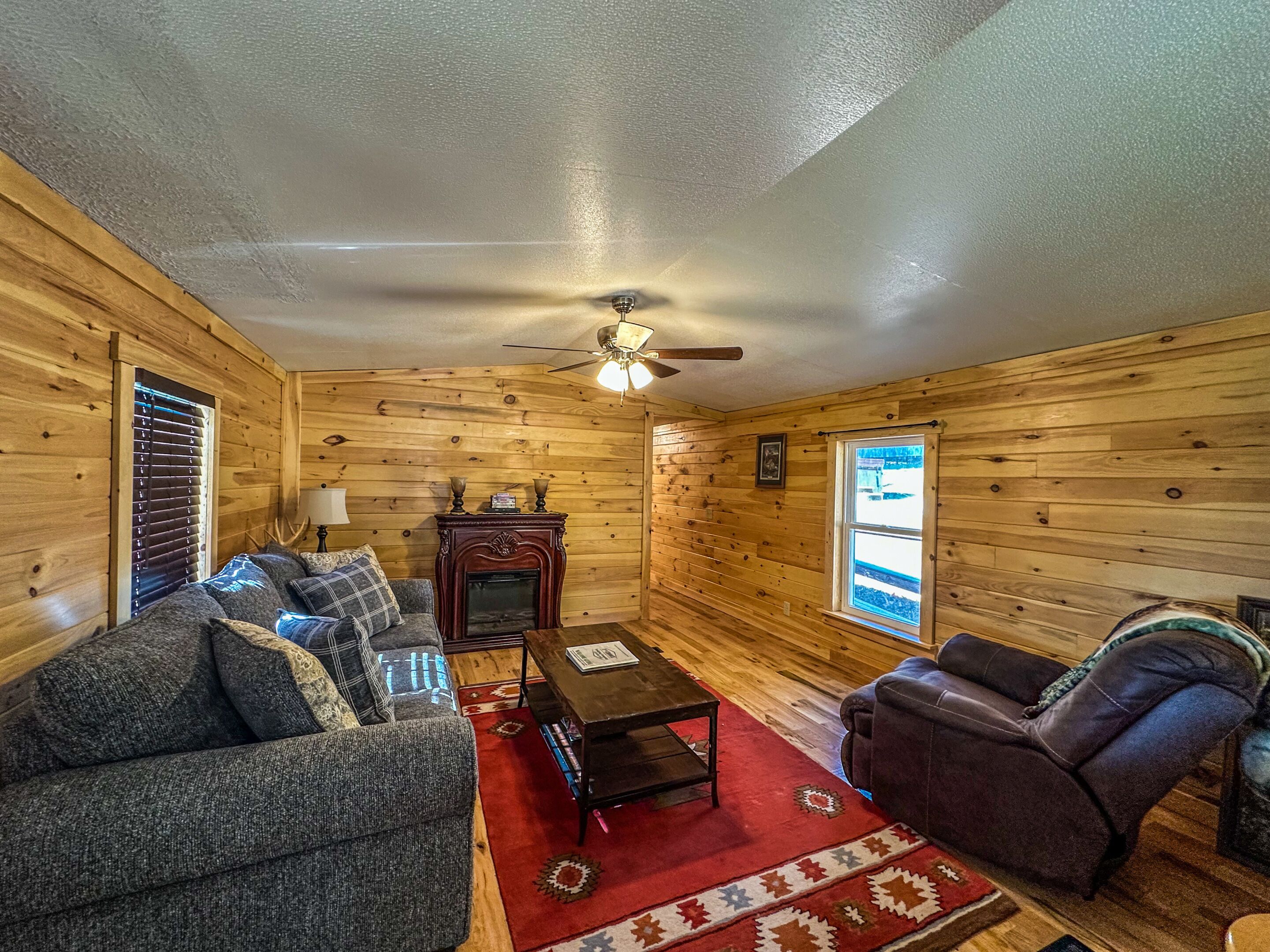 Fireplace, DVD player, books, video library