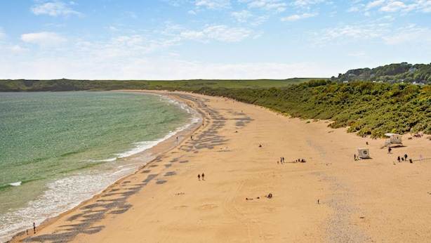 A wide sandy beach with a clear view of the sea and a forested hillside in the background. - 2 Bed in Loveston (oc-l29792) (Reynalton)