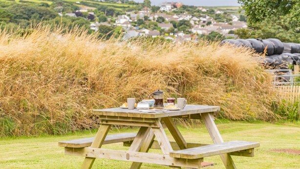 Una mesa de picnic con vista a un pueblo al fondo.