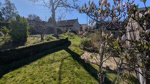 Ein Wohnhausgarten mit Rasen, Hecke und Baum.