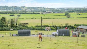 A rural landscape with a fenced field, a horse, and farm buildings.