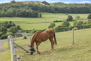 Miscellaneous - 1 Bed in Cross (oc-b29655) (Cross)