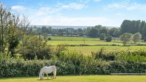 A white horse grazing in a lush green field with a rural landscape in the background. - 1 Bed in Cross (oc-s29656) (Cross)