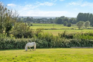 Miscellaneous - 1 Bed in Cross (oc-s29656) (Cross)