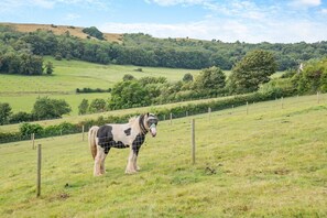 Miscellaneous - 1 Bed in Cross (oc-s29656) (Cross)