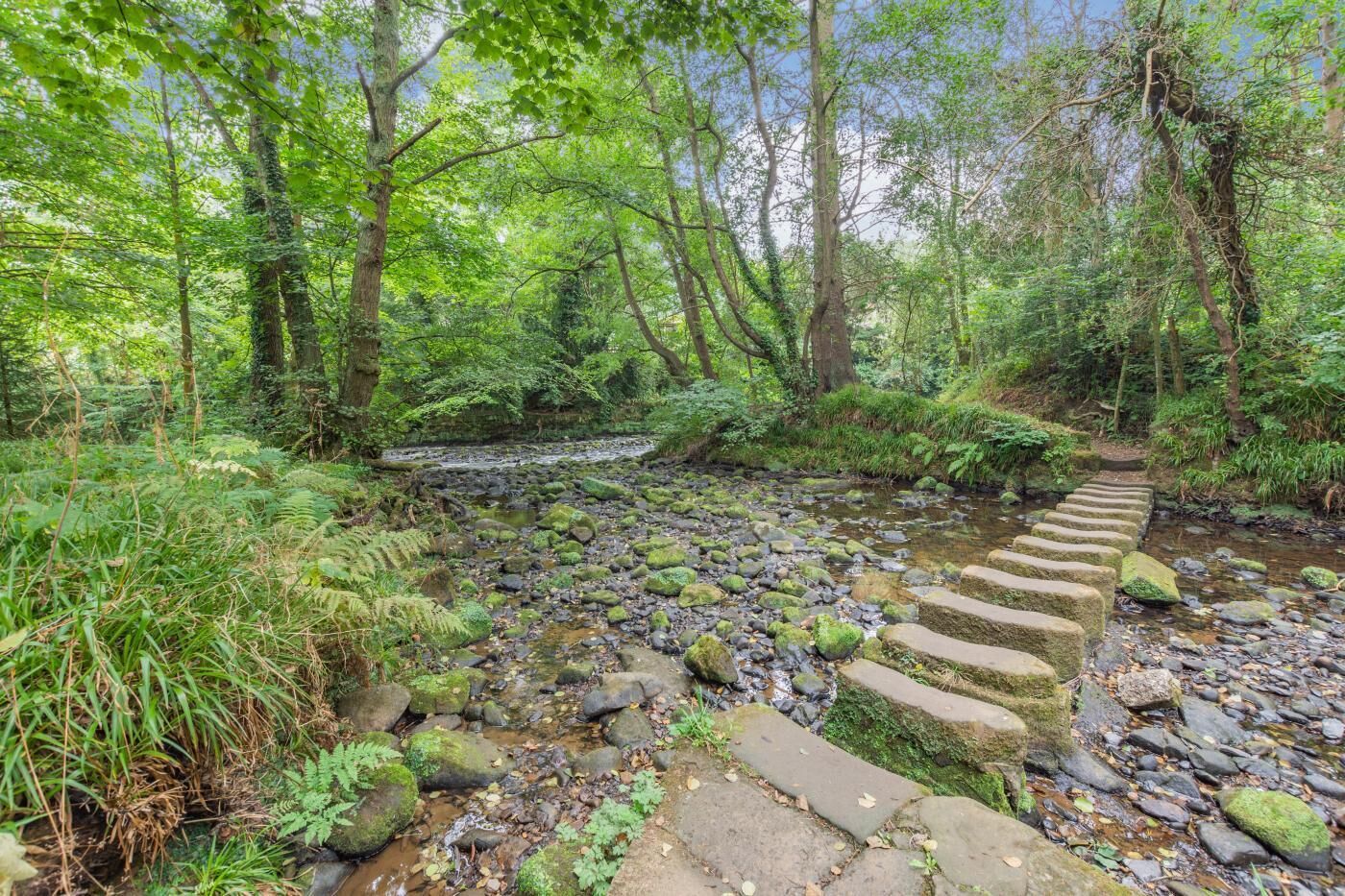 Áreas de la propiedad