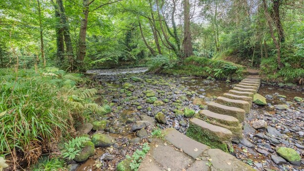 A stone bridge over a stream in a forested area with dense greenery and trees. - 1 Bed in Whitby (oc-e29968) (Egton Bridge)