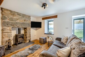 TV, fireplace - 2 Bed in Penmaenpool (oc-m30050) (Arthog)