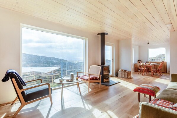 Télévision, cheminée