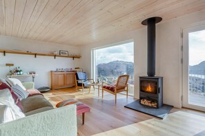 تلفزيون، مدفأة