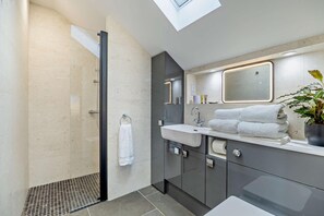 Une salle de bain moderne avec une douche à l’italienne en verre, un lavabo avec un miroir au-dessus et une plante en pot posée sur le comptoir.