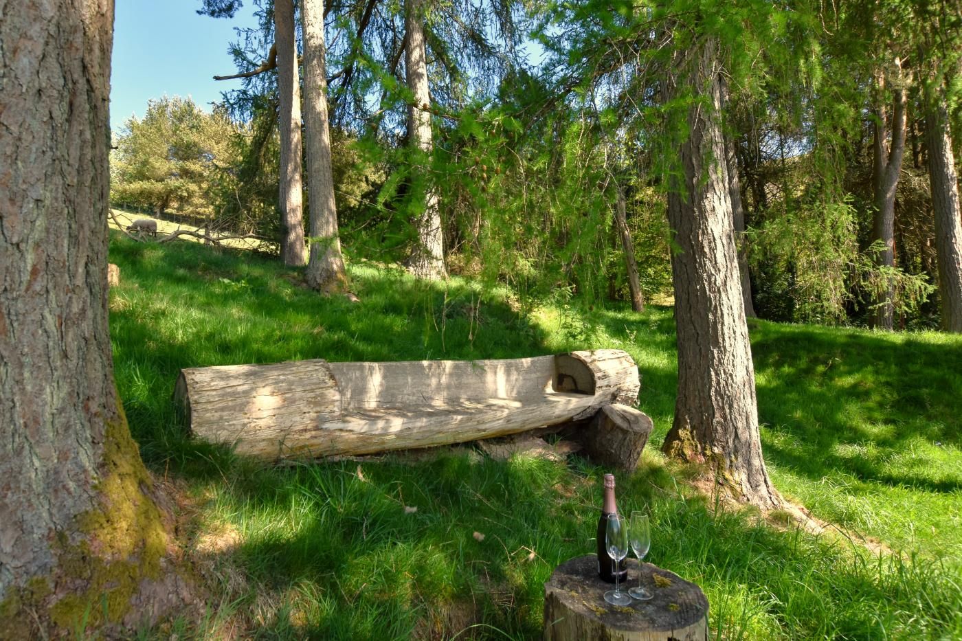 A wooden bench in a forested area with a bottle and glasses on a tree stump.