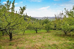 Property grounds - 2 Bed in Cwmdu (oc-l30162) (Cwmdu)