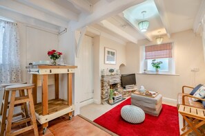 Een gezellige woonkamer met een open haard, een televisie en een rood vloerkleed.