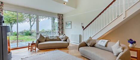 Televisión, chimenea