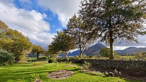 Un sendero de piedra que lleva a una zona cubierta de césped con un árbol grande y un muro de piedra.