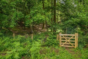 A forested area with a wooden gate and a wire fence.