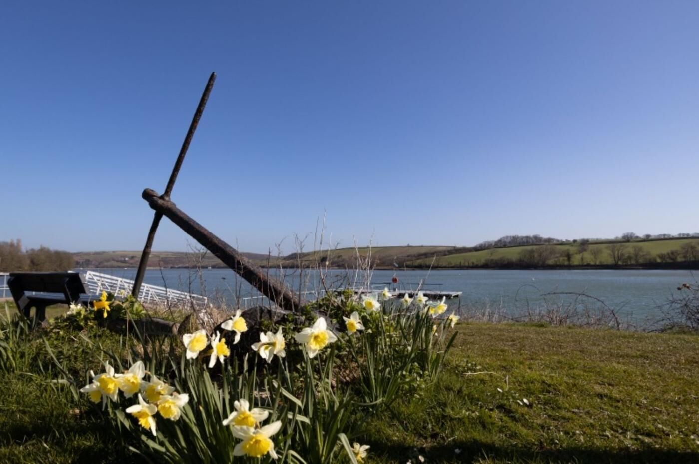 A bench and a wooden structure by a lake with daffodils in the foreground.