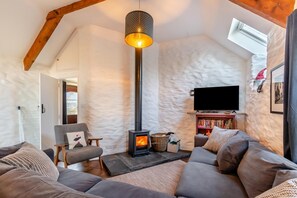 TV, fireplace - 3 Bed in Mathry (oc-t30243) (Mathry)