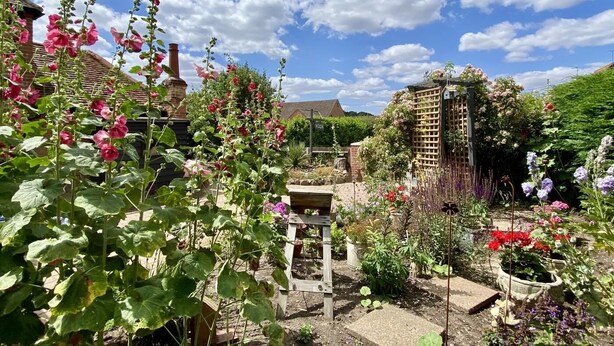 A garden with various plants and a wooden structure. - 2 Bed in Nacton (oc-c30257) (Nacton)