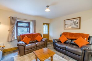 Televisión y chimenea 