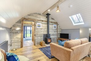 Televisión y chimenea 