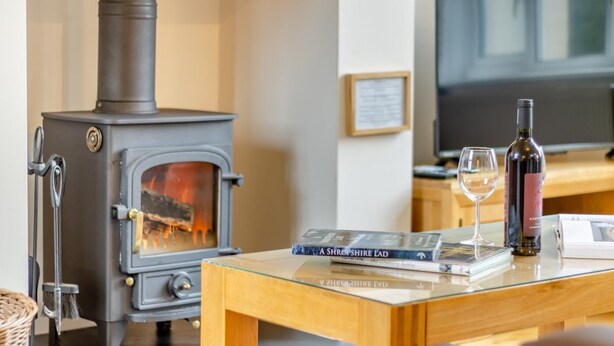 A room with a wood-burning stove, a glass table with a book and a wine bottle, and a television in the background.