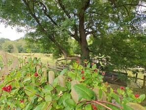 Property grounds - 1 Bed in Ellastone (oc-t30012) (Ellastone)