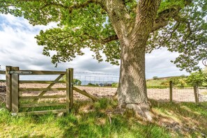 Property grounds - 1 Bed in Glan Conwy (oc-g30282) (Llansanffraid Glan Conwy)