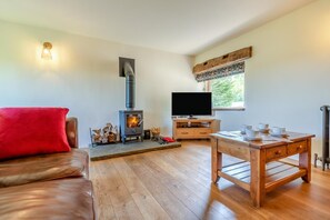 Ein gemütliches Wohnzimmer mit Kamin, Fernseher, einem Holztisch mit Tassen und einem roten Kissen auf einer Ledersofa.