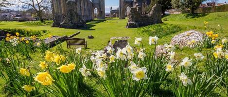 Overnattingsstedets uteområder