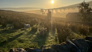 A rural landscape with a bridge, sheep, and a barn. - 3 Bed in Garsdale (oc-l30314) (High Abbotside)